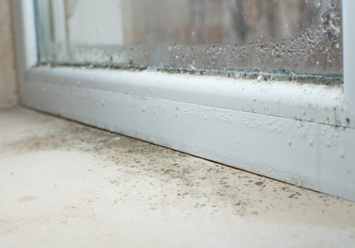 Damp and mould – Understanding the root causes